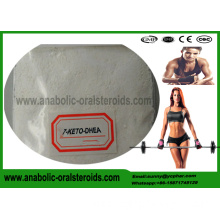 DHEA Powder Anabolic Steroid Hormones 7-KETO-DHEA For Weight Loss CAS 566-19-8